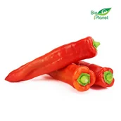 Szybkie dania obiadowe - Papryka Długa Świeża Bio (Około 0,50 Kg) - miniaturka - grafika 1