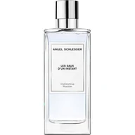 Wody i perfumy unisex - Angel Schlesser Les Eaux D'un Instant Instinctive Marine woda toaletowa spray - 100 ml - miniaturka - grafika 1