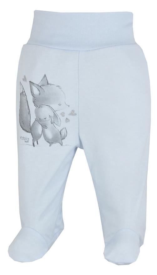 Półśpiochy niemowlęce niebieskie Foxy , Koala baby 62