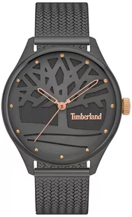 Zegarek Zegarek Timberland TBL.TDWLG2200301 LINCOLNDALE - Zegarki damskie - miniaturka - grafika 1
