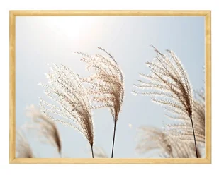 Nowoczesny plakat w drewnianej ramce 30x40 -  Grass - Plakaty - miniaturka - grafika 1