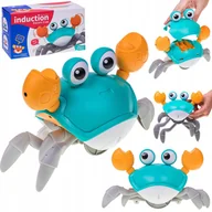 Maty edukacyjne - Pełzający Krab Nr:9073 - miniaturka - grafika 1