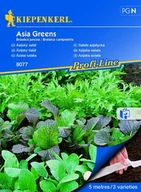 Nasiona i cebule - Sałata Azjatycka Asia Greens – Kiepenkerl - miniaturka - grafika 1
