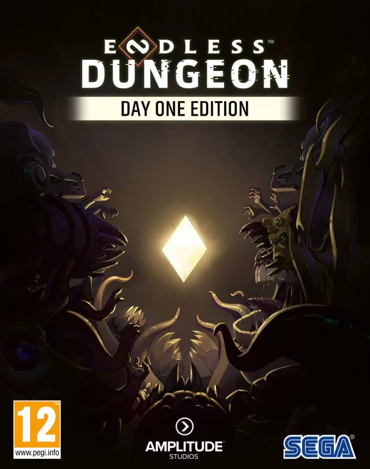 Endless Dungeon Day One Edition PL (PC)