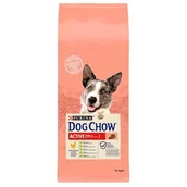 Sucha karma dla psów - Purina Dog Chow Active Adult Chicken 28 kg - miniaturka - grafika 1