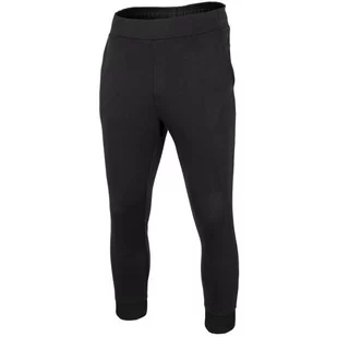 Spodnie Męskie 4F Głęboka Czerń H4Z22 Spmd015 20S-2Xl - Spodnie męskie - miniaturka - grafika 1