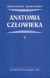 Wydawnictwo Lekarskie PZWL Anatomia człowieka - Adam Bochenek, Michał Reicher - Książki medyczne - miniaturka - grafika 1