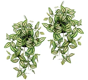 Sztuczna zawieszka z doniczką, zestaw 2 sztuk, sztuczna roślina Tradescantia, wisząca dekoracja, roślina wisząca, pnącza, kwietnik, roślina zielona, roślina pokojowa, roślina pnąca, bluszcz - Sztuczne kwiaty - miniaturka - grafika 1