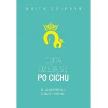 Anita Czupryn Cuda dzieją się po cichu O jasnogórskich cudach i łaskach - Religia i religioznawstwo - miniaturka - grafika 2