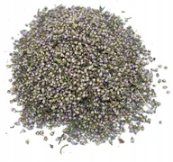 Przyprawy i zioła sypkie - KWIAT WRZOSU ZWYCZAJNEGO CAŁY 1 KG - miniaturka - grafika 1