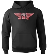 Bluzy męskie - bluza AEROSMITH - LOGO, kangurka z kapturem-XXL - miniaturka - grafika 1