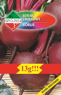 Burak ćwikłowy Borus 13 g SPÓJNIA - Nasiona i cebule - miniaturka - grafika 1