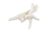 Przysmaki dla psów - MACED Maced Kurze łapki białe 20szt. PMAC005 - miniaturka - grafika 1