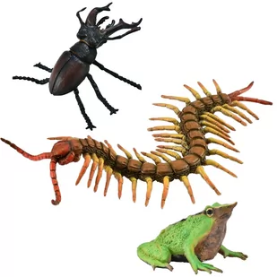 Collecta Zestaw figurek insektów, figurki zwierząt 3+ - Figurki dla dzieci - miniaturka - grafika 1