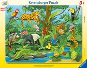 Puzzle - Ravensburger Puzzle 11 Co tu pasuje$292 Zwierzęta lasu deszczowego - miniaturka - grafika 1
