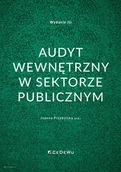 Ekonomia - Audyt wewnętrzny w sektorze publicznym w.3 - miniaturka - grafika 1