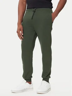 HUGO Spodnie dresowe Dayote232 50489617 Zielony Regular Fit - Spodnie sportowe męskie - miniaturka - grafika 1