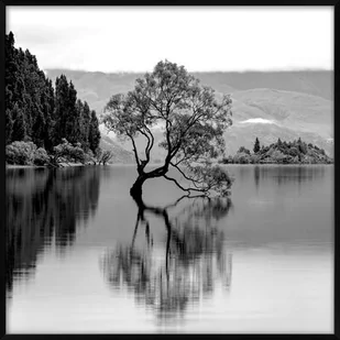 Obraz 20 x 20 cm DB2020,087 - Obrazy i zdjęcia na płótnie - miniaturka - grafika 1