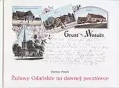 Albumy krajoznawcze - Żuławy Gdańskie na dawnej pocztówce - Dariusz Piasek - miniaturka - grafika 1