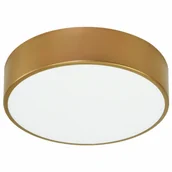 Lampy sufitowe - Euluna Lampa sufitowa Cleo 300, IP54, 30 cm złota - miniaturka - grafika 1