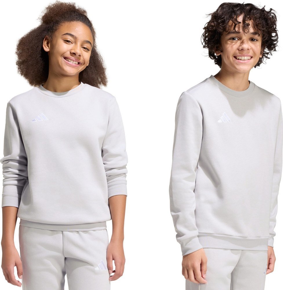 Bluza dla dzieci adidas Entrada 26 Sweat Top szara JZ6551 164cm