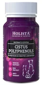 Suplementy i witaminy dla psów - HOLISTA Cistus Herb Czystek - czystek dla psa i kota 90 tabl. - miniaturka - grafika 1