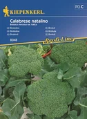 Nasiona i cebule - Kiepenkerl Brokuł Calabrese natalino 102048 - miniaturka - grafika 1