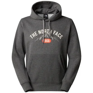 Męska bluza The North Face M Hoodie Varsity Graphic Rozmiar: L / Kolor: szary - Bluzy sportowe męskie - miniaturka - grafika 1