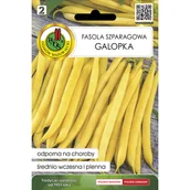 Nasiona i cebule - Fasola szparagowa karłowa Galopka nasiona Pnos - miniaturka - grafika 1