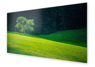 Panel kuchenny HOMEPRINT Zielona polana 100x50 cm - Dekoracje domu - miniaturka - grafika 1