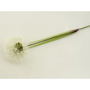 Dmuchawiec pojedynczy 100 cm - Sztuczne kwiaty - miniaturka - grafika 1