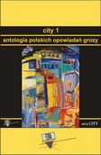 E-booki - kryminał i sensacja - Antologia polskich opowiadań grozy. City. Tom 1 - miniaturka - grafika 1