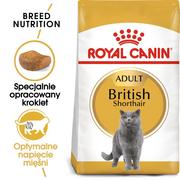 Sucha karma dla kotów - Royal Canin Adult British Shorthair 2 kg - miniaturka - grafika 1