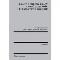 Prawo - Wyka Teresa, Mielczarek Marcin A. Prawo ochrony pracy współczesność i perspektywy rozwoju - mamy na stanie, wyślemy natychmiast - miniaturka - grafika 1