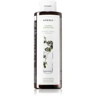Szampony do włosów - Korres Hair Aloe and Dittany szampon do włosów normalnych 250 ml - miniaturka - grafika 1