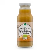 Zdrowa żywność - Dary Natury Syrop Imbirowy z Miodem BIO 270ml - - miniaturka - grafika 1