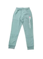 Spodenki męskie - Champion Legacy Authentic Pants-Logo Powerblend polar Rib Cuff męskie spodnie dresowe, Zielony Blg, S - miniaturka - grafika 1