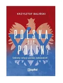 Historia Polski - Capital Polska czy Polin - miniaturka - grafika 1