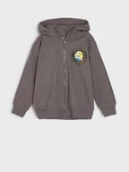 Swetry dla chłopców - Sinsay - Bluza Minionki - szary - miniaturka - grafika 1