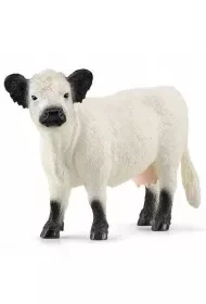 Figurka krowa rasy Galloway - Maskotki i pluszaki - miniaturka - grafika 1