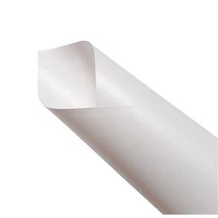Karton wizytówkowy A4 230g Diamond diamentowa biel (20) - Papier do drukarek - miniaturka - grafika 1