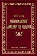 Historia świata - Sklepy cynamonowe. Sanatorium pod Klepsydrą - miniaturka - grafika 1