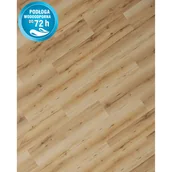 Panele podłogowe - Classen Panel podłogowy Dąb Clermont 8 mm AC 5 72h - miniaturka - grafika 1