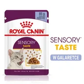 Mokra karma dla kotów - ROYAL CANIN SENSORY Taste Karma mokra w galaretce dla wybrednych kotów 12x85g - miniaturka - grafika 1