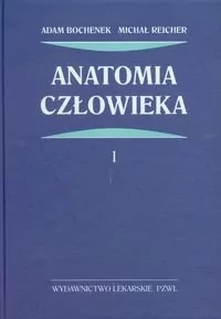 Wydawnictwo Lekarskie PZWL Anatomia człowieka Tom 1 - Adam Bochenek, Michał Reicher - Książki medyczne - miniaturka - grafika 1