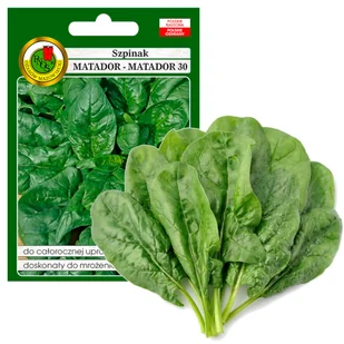 Szpinak Matador Uprawa Cały Rok Nasiona Bez Gmo - Nasiona i cebule - miniaturka - grafika 1