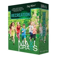 Trawy i trawniki - Mieszanka traw Maxi Grass Recreation 2 kg Granum - miniaturka - grafika 1