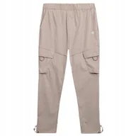 Spodnie męskie - 4F Spodnie Męskie Joggery Ttrom136 Xxl - miniaturka - grafika 1