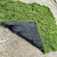 Inne - TEMU 1 szt., Sztuczna trawa mchowa, 39.4x39.4 cala, Sztuczny mech fałszywy zielony mech do dekoracji mikrokrajobrazu, Mata trawiasta z poliestru do - miniaturka - grafika 1
