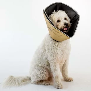 Kołnierz ochronny ALL FOUR PAWS Comfy Cone, rozmiar M, 20 cm, brązowy - Pozostałe akcesoria dla psów - miniaturka - grafika 1